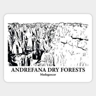 Andrefana Dry Forests - Madagascar Magnet